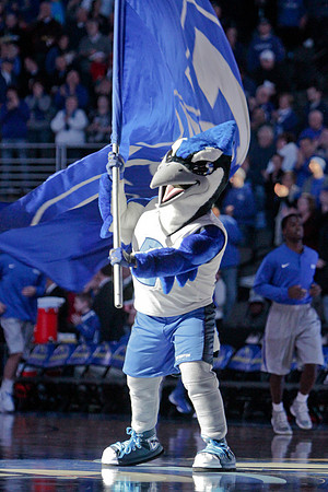 Billy Bluejay